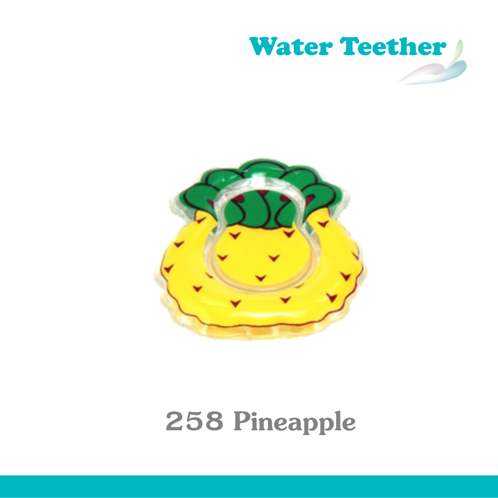 WATER TEETHER - F_R. Toy Pineapple Water teether Toy Pineapple Water teether - Image 1