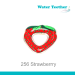 Straw Berry Water teether