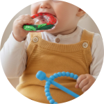 With Stick Teethers